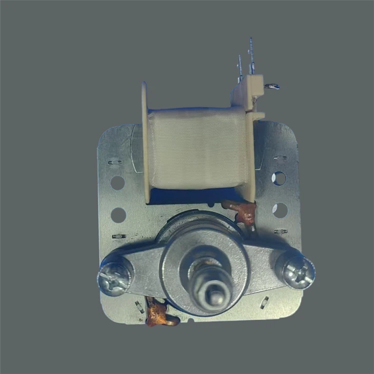 Inverterski motor pečice