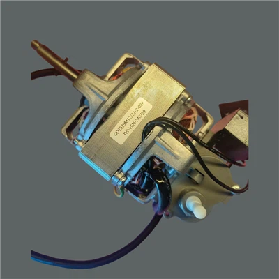 ENOFAZNI ASINHRONI MOTOR