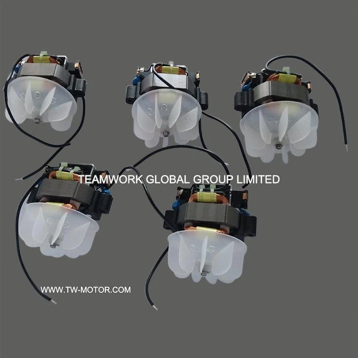 Electric Hairdryer Motor Factory