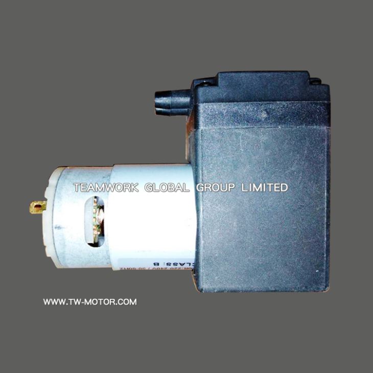 Professional Air Pump Motor
