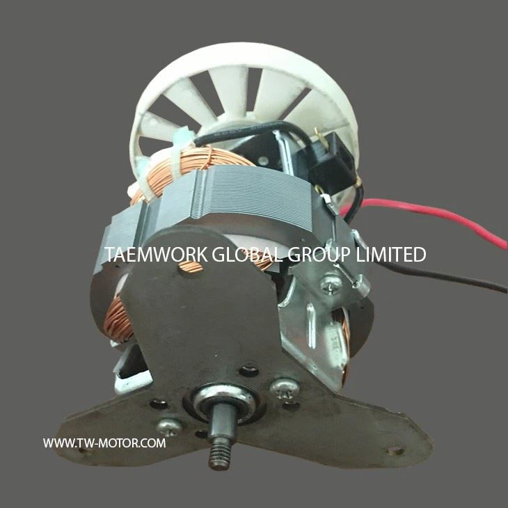 Electric Coffee Mixer Motor