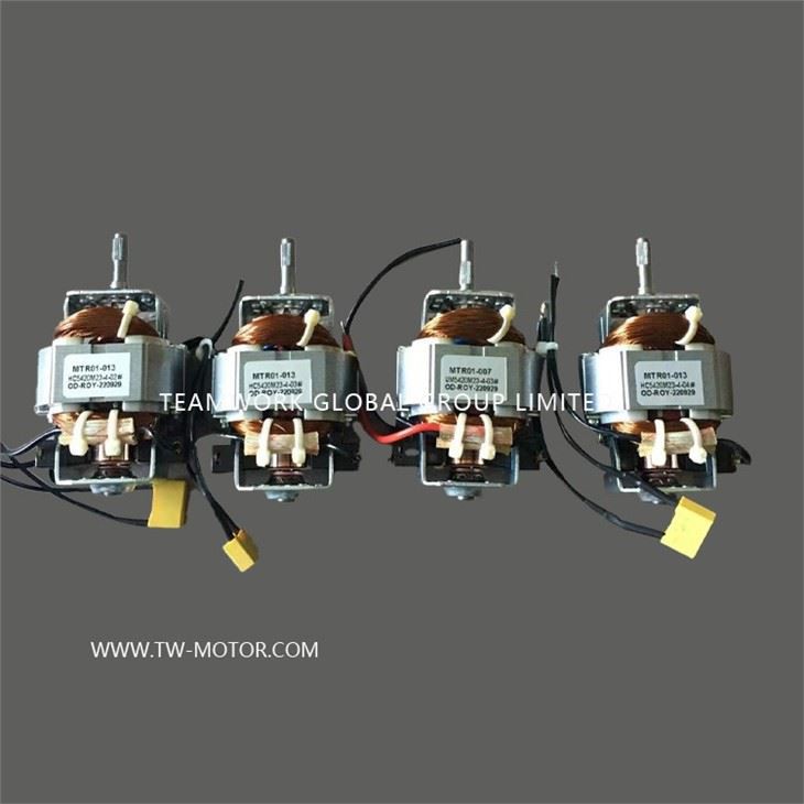 Fruit And Vegetable Mixer Motor