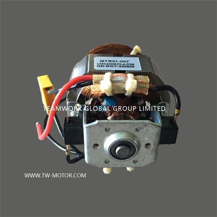Fruit And Vegetable Mixer Motor