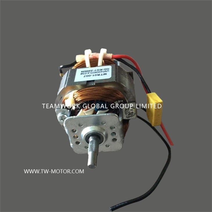 Fruit And Vegetable Mixer Motor