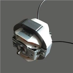 Motor domačega vlažilnika