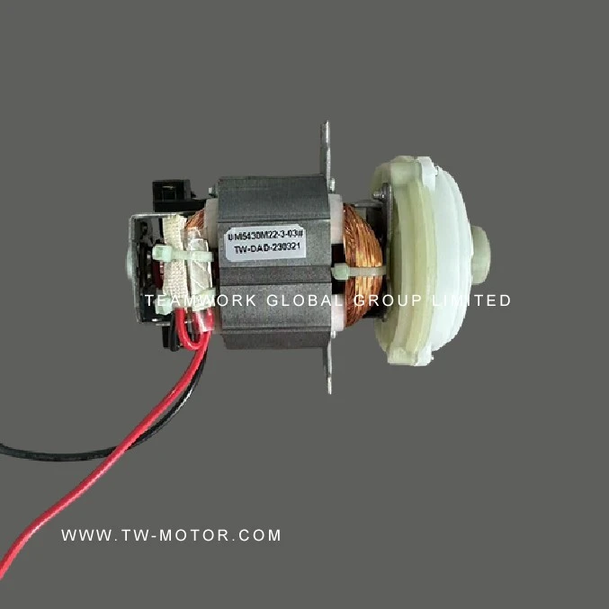 Mini Blender Motor