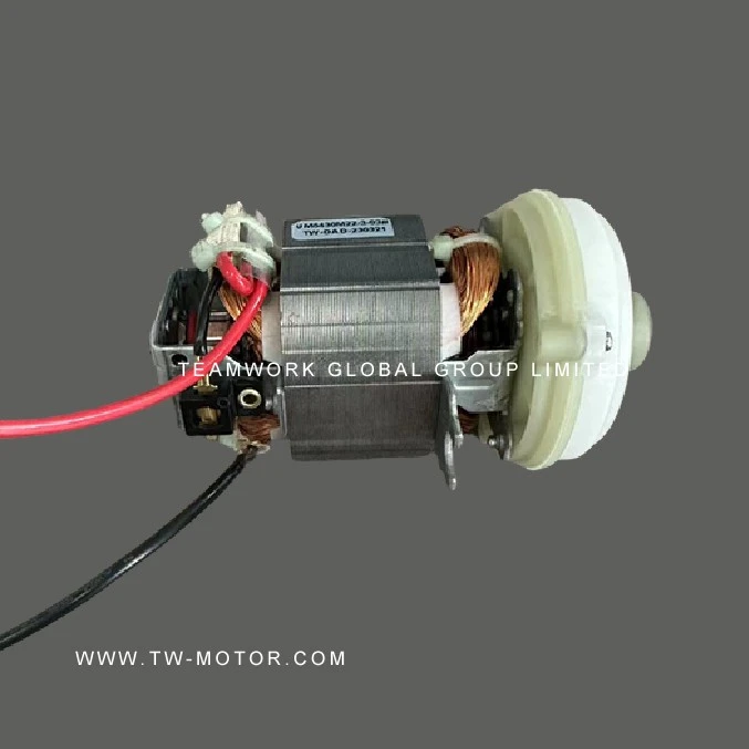 Mini Blender Motor
