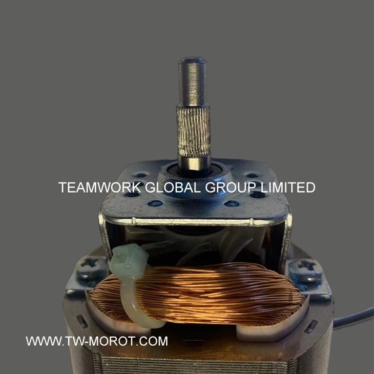 Universal Mixer Motor